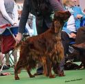 crufts_506