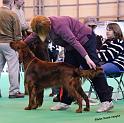 crufts_510