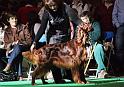 crufts_520