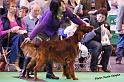 crufts_553