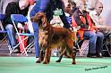 crufts_557