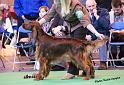 crufts_561