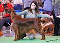 crufts_562