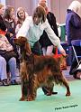 crufts_577