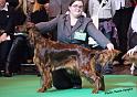 crufts_606