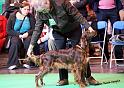 crufts_607