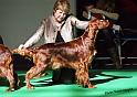 crufts_611