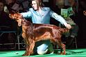 crufts_614