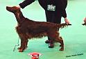 crufts_621