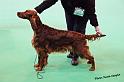 crufts_633