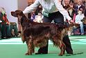 crufts_647