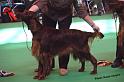 crufts_664