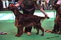 crufts_665