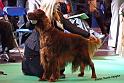 crufts_693