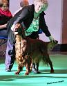 crufts_695