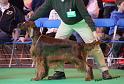 crufts_699