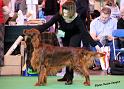 crufts_701