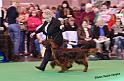 crufts_709