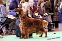 crufts_749