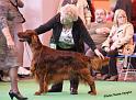 crufts_752