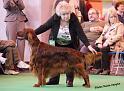 crufts_753