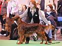 crufts_758