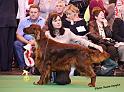 crufts_760