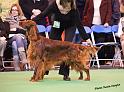 crufts_764