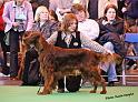 crufts_766