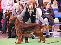 crufts_770