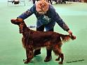 crufts_785