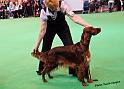 crufts_789