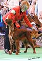 crufts_809