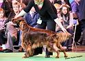 crufts_811