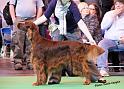 crufts_812