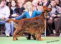 crufts_813