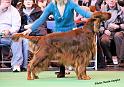 crufts_814