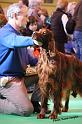 crufts_824