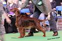 crufts_84