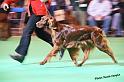 crufts_840