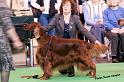 crufts_86