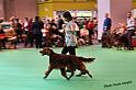 crufts_883