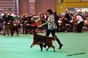 crufts_884