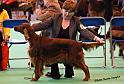 crufts_896