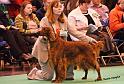 crufts_899