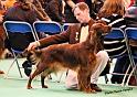 crufts_901