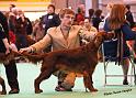 crufts_910