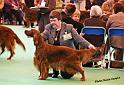 crufts_943