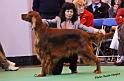 crufts_968