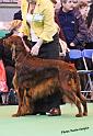 crufts_970